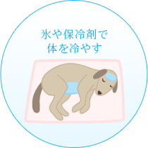 氷や保冷材で体を冷やす